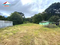 Terreno / Lote / Condomínio à venda, 1299m² no Botiatuva, Campo Largo - Foto 10