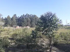 Fazenda / Sítio / Chácara à venda, 3556m² no Campo Bonito Distrito, Torres - Foto 12