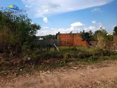 Fazenda / Sítio / Chácara com 1 Quarto à venda, 1100m² no Parque Aeroporto, Campinas - Foto 12