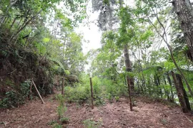 Terreno / Lote / Condomínio à venda, 3000m² no Cascata dos Amores, Teresópolis - Foto 2