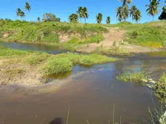 Fazenda / Sítio / Chácara com 3 Quartos à venda, 21600m² no Zona Rural, Monte Alegre - Foto 4