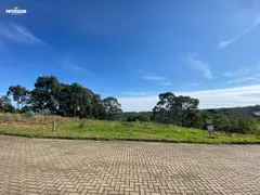 Terreno / Lote / Condomínio à venda, 1042m² no São Ciro, Caxias do Sul - Foto 2