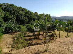 Terreno / Lote / Condomínio à venda, 870m² no Ilha da Figueira, Jaraguá do Sul - Foto 11