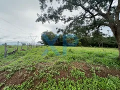 Fazenda / Sítio / Chácara com 3 Quartos à venda, 80m² no Zona Rural, São Sebastião do Oeste - Foto 6