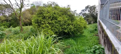 Terreno / Lote / Condomínio à venda, 980m² no Pousada da neve, Nova Petrópolis - Foto 8