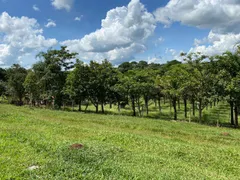 Fazenda / Sítio / Chácara com 2 Quartos à venda, 96800m² no Zona Rural, Bonfinópolis - Foto 2