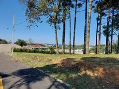 Terreno / Lote / Condomínio à venda, 140m² no Lamenha Grande, Almirante Tamandaré - Foto 15