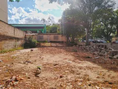 Terreno / Lote / Condomínio para alugar, 478m² no Chácara das Pedras, Porto Alegre - Foto 10