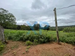 Fazenda / Sítio / Chácara com 3 Quartos à venda, 80m² no Zona Rural, São Sebastião do Oeste - Foto 36