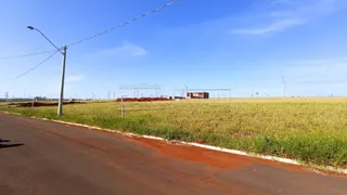 Terreno / Lote / Condomínio à venda, 250m² no , São Carlos - Foto 3