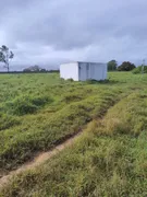 Fazenda / Sítio / Chácara com 4 Quartos à venda, 40000m² no Zona Rural, Monte Alegre - Foto 20