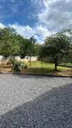 Fazenda / Sítio / Chácara com 3 Quartos à venda, 10000m² no , Corupá - Foto 3