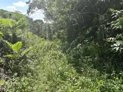 Fazenda / Sítio / Chácara com 1 Quarto à venda, 250m² no Cipó, Embu-Guaçu - Foto 24