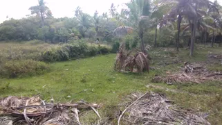 Fazenda / Sítio / Chácara à venda, 50000m² no Zona Rural, Conde - Foto 12