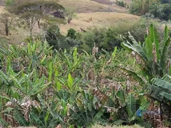 Fazenda / Sítio / Chácara à venda, 1390000m² no Taruacu, São João Nepomuceno - Foto 21