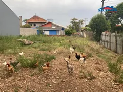 Terreno / Lote / Condomínio à venda no Novo Esteio, Esteio - Foto 5