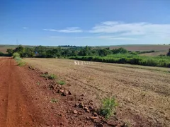 à venda, 24200m² no , Paiçandu - Foto 7