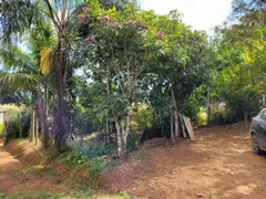 Fazenda / Sítio / Chácara com 2 Quartos à venda, 1000m² no , Silvianópolis - Foto 4