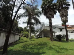 Casa com 4 Quartos para alugar, 798m² no Alphaville, Santana de Parnaíba - Foto 3