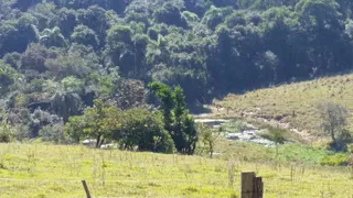 Fazenda / Sítio / Chácara com 3 Quartos à venda, 500m² no Zona Rural, Guareí - Foto 9