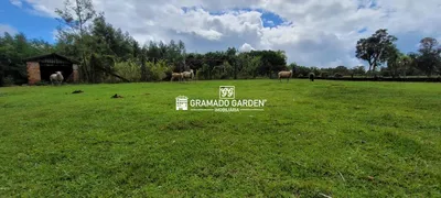 Fazenda / Sítio / Chácara à venda, 60260m² no Vila Jardim, Gramado - Foto 33