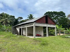 Fazenda / Sítio / Chácara com 2 Quartos à venda, 270000m² no Iguape, Ilhéus - Foto 13