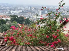 Casa com 4 Quartos à venda, 282m² no Santa Teresa, Rio de Janeiro - Foto 19