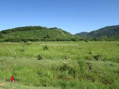 Fazenda / Sítio / Chácara com 3 Quartos à venda, 2081200m² no Zona Rural, Rio Bonito - Foto 26