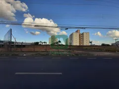 Terreno / Lote / Condomínio com 1 Quarto para alugar, 3956m² no Custódio Pereira, Uberlândia - Foto 10