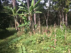 Fazenda / Sítio / Chácara à venda, 411740m² no Centro, Bocaiúva do Sul - Foto 6