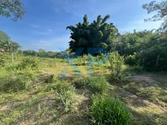 Fazenda / Sítio / Chácara com 3 Quartos à venda, 230m² no Zona Rural, São Sebastião do Oeste - Foto 71