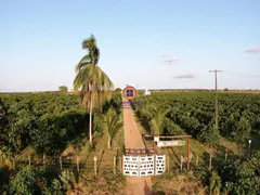 Fazenda / Sítio / Chácara com 3 Quartos à venda, 57000m² no Centro, Crisópolis - Foto 4