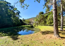 Fazenda / Sítio / Chácara com 3 Quartos à venda, 20000m² no Posse, Petrópolis - Foto 15