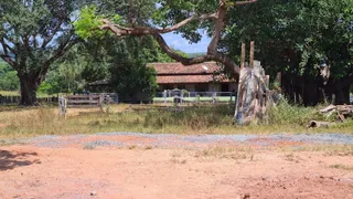 Fazenda / Sítio / Chácara com 2 Quartos à venda, 54250000m² no Zona Rural, Buritizeiro - Foto 10