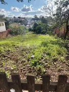 Terreno / Lote / Condomínio à venda, 572m² no Coronel Nassuca, Guaíba - Foto 4