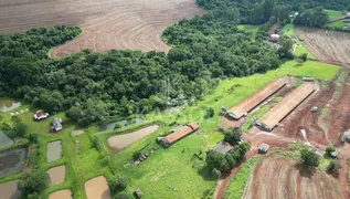 Fazenda / Sítio / Chácara à venda, 42000m² no Zona Rural, Cascavel - Foto 4