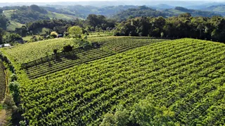 Fazenda / Sítio / Chácara à venda, 24000m² no Zona Rural, Monte Belo do Sul - Foto 12