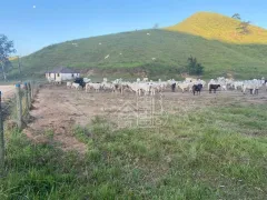 Fazenda / Sítio / Chácara com 3 Quartos à venda, 1000m² no Boa Esperança, Rio Bonito - Foto 13