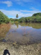 Fazenda / Sítio / Chácara com 3 Quartos à venda, 27800m² no Zona Rural, Macaíba - Foto 1