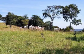 Fazenda / Sítio / Chácara com 3 Quartos à venda, 90m² no Zona Rural, Jaraguá - Foto 17