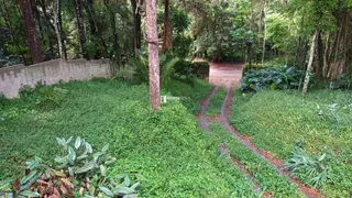 Casa com 4 Quartos à venda, 378m² no Chacaras Embu Colonial, Embu das Artes - Foto 5