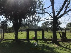 Fazenda / Sítio / Chácara com 3 Quartos à venda, 5500m² no , Torres - Foto 12