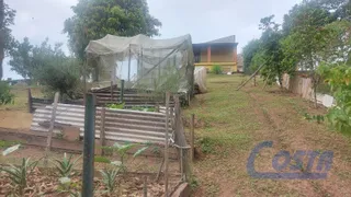 Fazenda / Sítio / Chácara com 3 Quartos à venda, 3810m² no Chacaras Campo Limpo, Campo Limpo Paulista - Foto 13