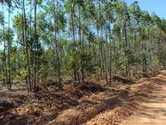 Terreno / Lote / Condomínio à venda, 20000m² no Zona Rural, Funilândia - Foto 28