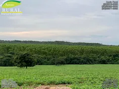 Fazenda / Sítio / Chácara com 5 Quartos à venda, 14907200m² no Zona Rural, Santa Cruz de Goiás - Foto 17