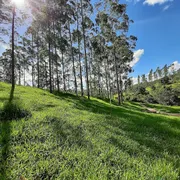 Fazenda / Sítio / Chácara à venda, 20486m² no , Coronel Pacheco - Foto 39