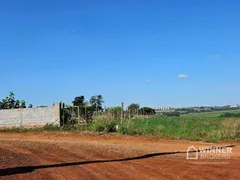 Fazenda / Sítio / Chácara com 1 Quarto à venda, 2500m² no Jardim Ouro Cola, Maringá - Foto 6