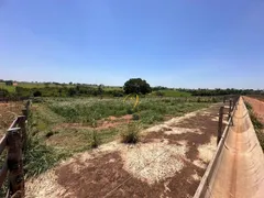 Fazenda / Sítio / Chácara à venda, 2000m² no Rural, Nova Granada - Foto 36