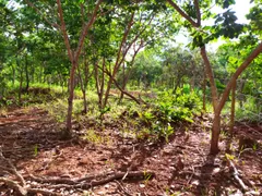 Terreno / Lote / Condomínio à venda, 20000m² no Serra do Cipó, Santana do Riacho - Foto 8