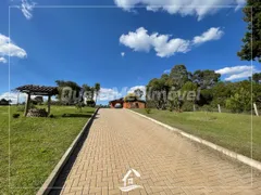 Fazenda / Sítio / Chácara com 3 Quartos à venda, 110m² no Vila Seca, Caxias do Sul - Foto 2